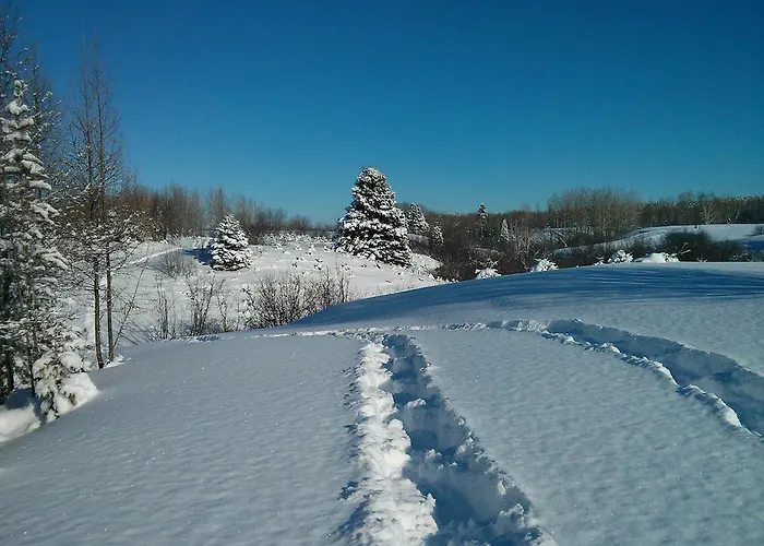 GITE AU BONHEUR DU VOYAGEUR B&B SAINTHENRIDETAILLON, QC